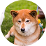 翰翰