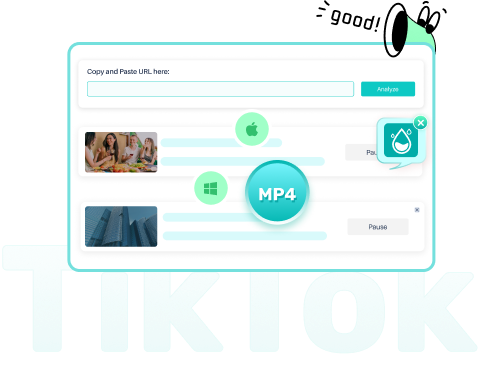 VideoHunter 下載 TikTok 影片