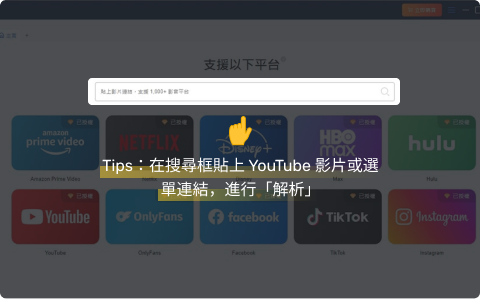 直接貼上影片 URL 並解析