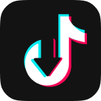 VideoHunter TikTok Downloader 用戶指南