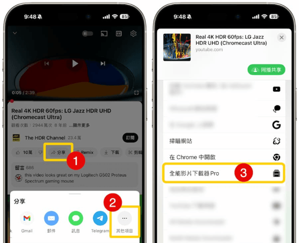 全能影片下載器 Pro