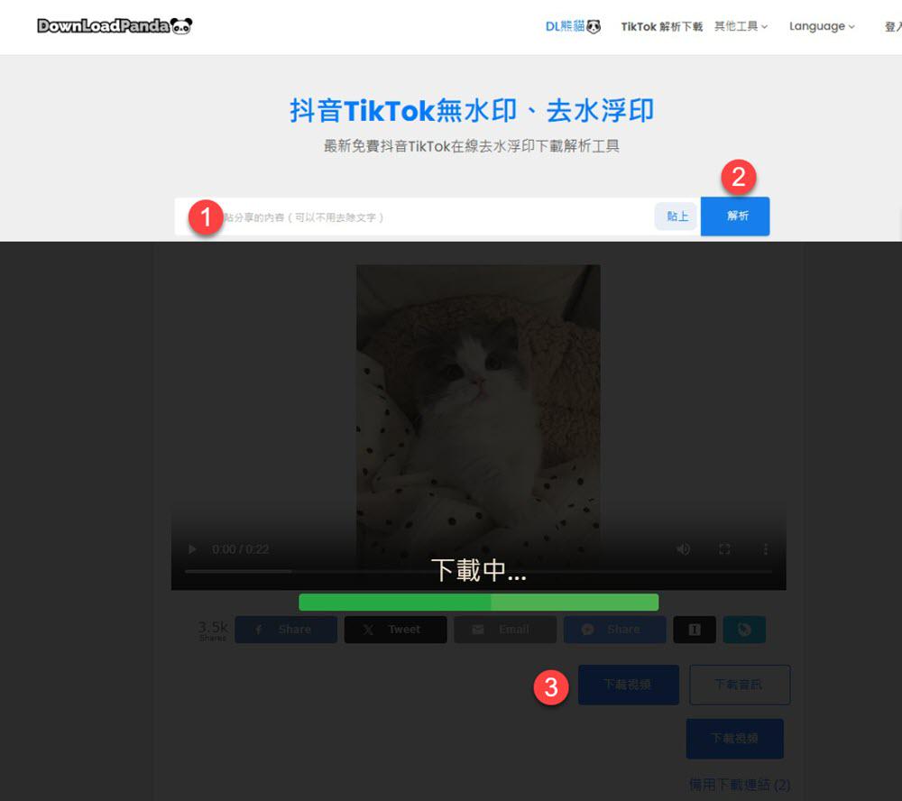 DLpanda 抖音去浮水印網站