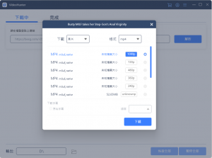 下載 Beeg 影片