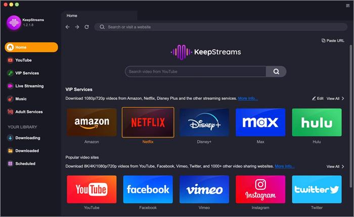 KeepStream for Netflix 下載器介面