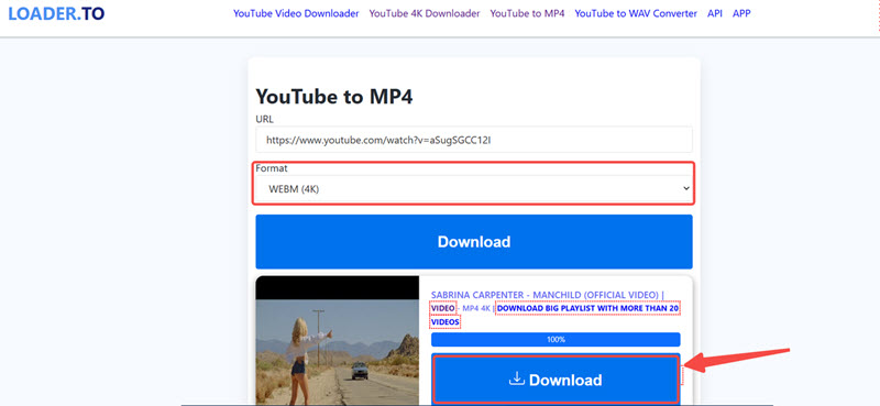 LOADER.TO 線上 4K 下載 YouTube 影片