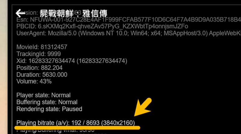 Netflix 4K 畫質下的解析度