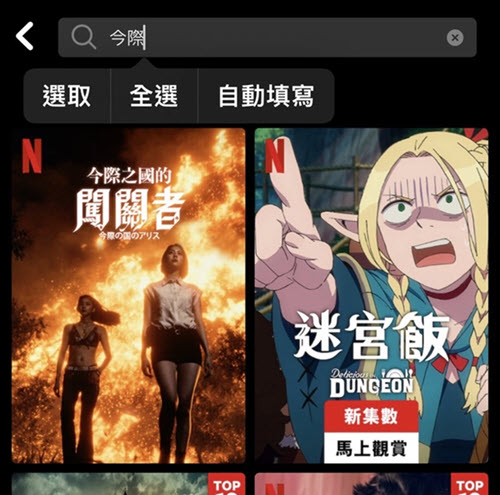 破解版 APP 免費看 Netflix