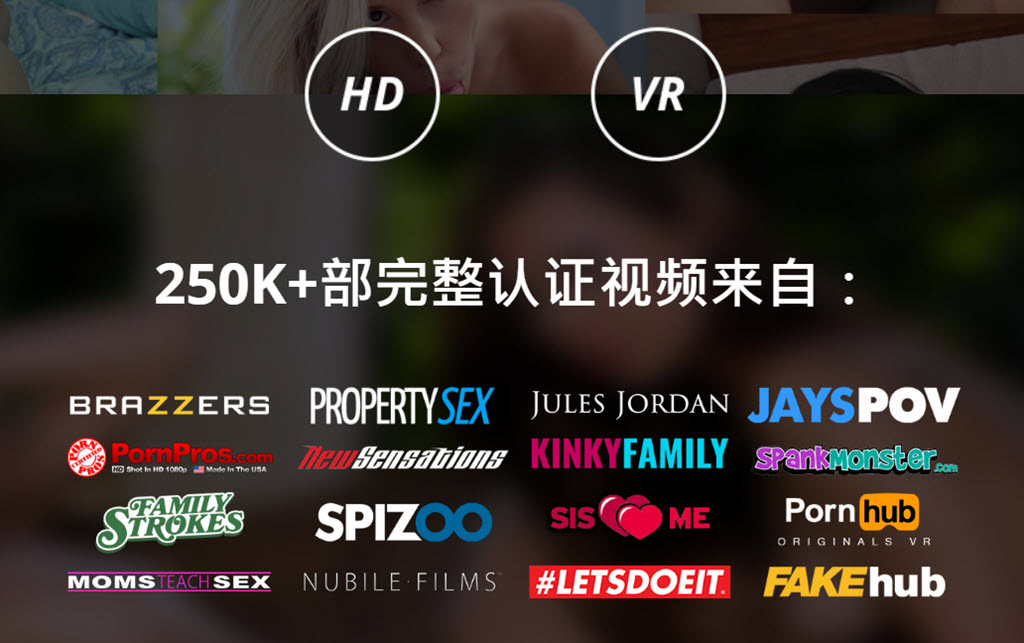 Pornhub Premium 功能