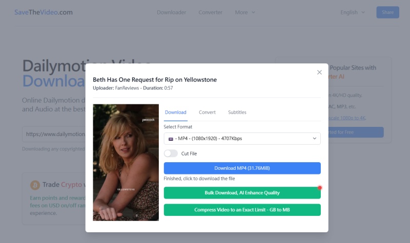 SaveTheVideo 下載 dailymotion 影片