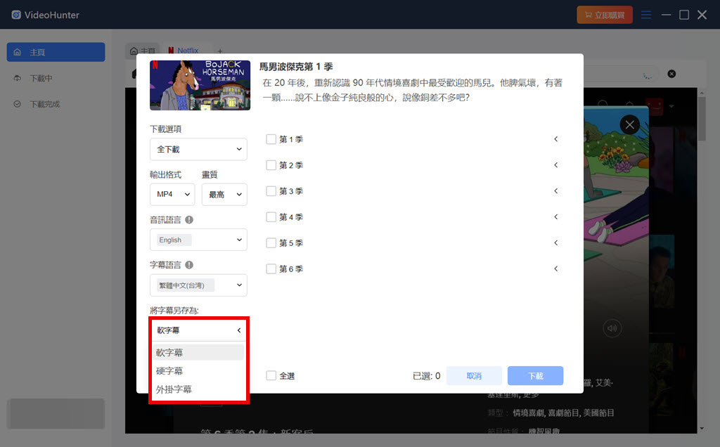 調整 Netflix 影片匯出設定