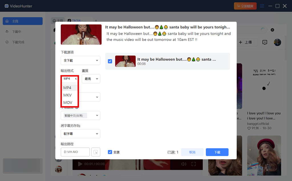 選擇 TikTok 影片匯出設定