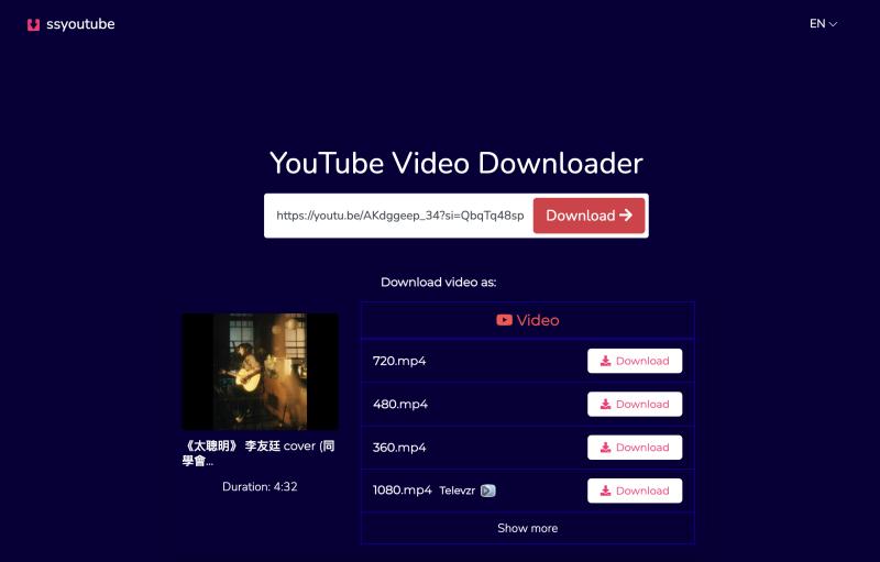 SSYouTube 解析 YouTube 影片連結