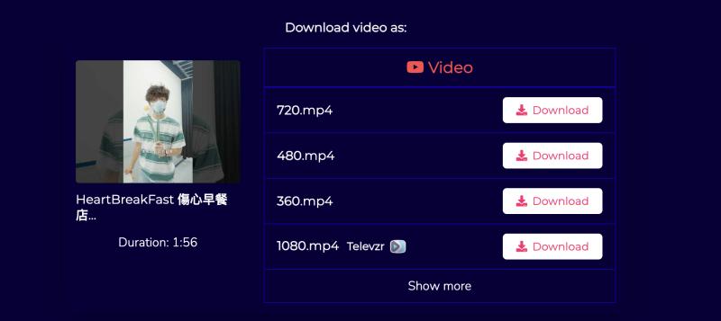 SSYouTube 匯出影片畫質