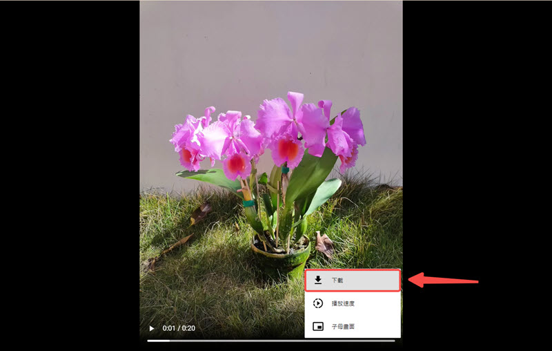 線上下載無浮水印小紅書影片
