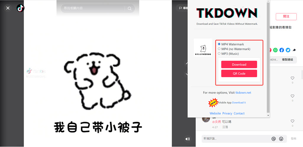 Chrome 外掛下載 TikTok MP4