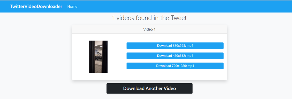 Twitter Video Downloader 線上推特影片下載網站