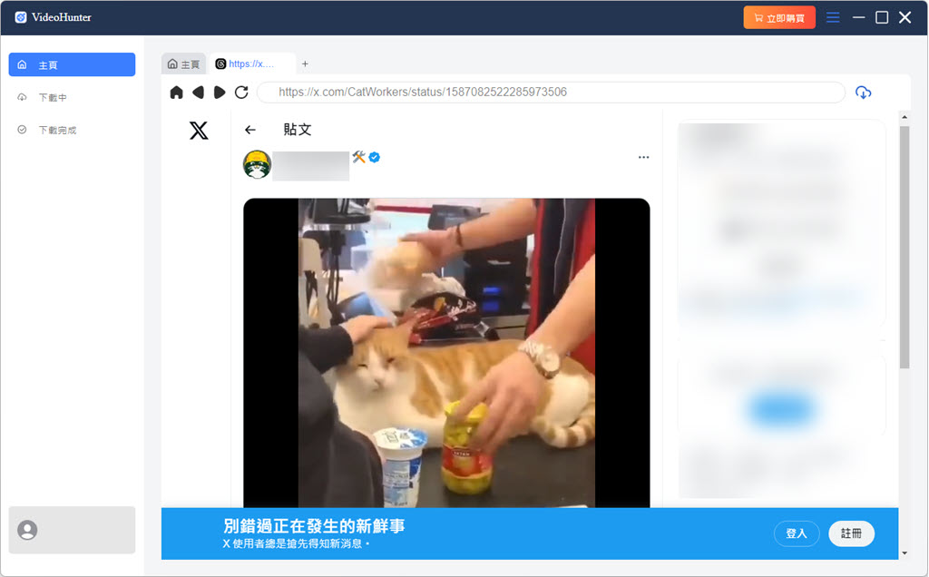 VH 解析 Twitter X 影片