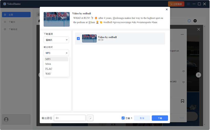 選擇 IG 影片下載音訊格式