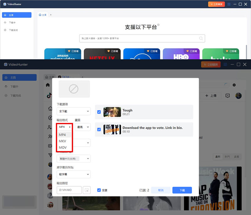 選擇 TikTok 影片下載格式