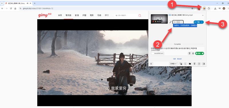 Video DownloadHelper 使用教學