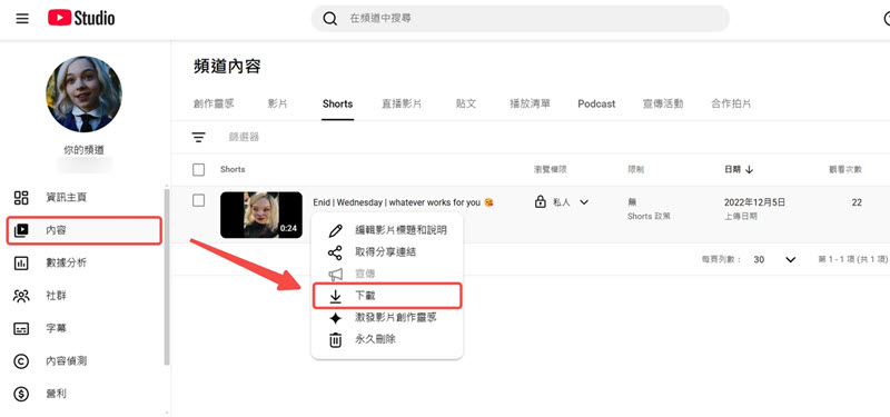 下載自己的 YouTube 私人影片