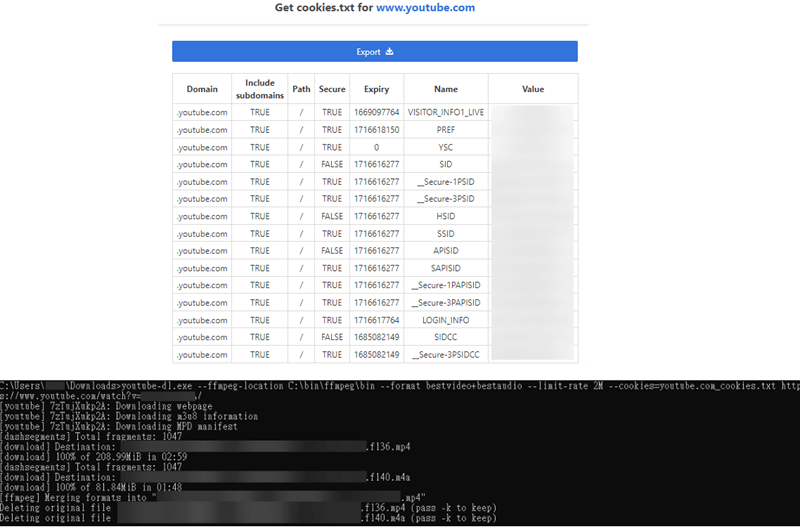 YT-DL 下載私人 YouTube 影片